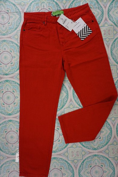 10pc FREE PEOPLE x Sandrine Rose Red Jeans
