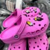 Beautiful crocs